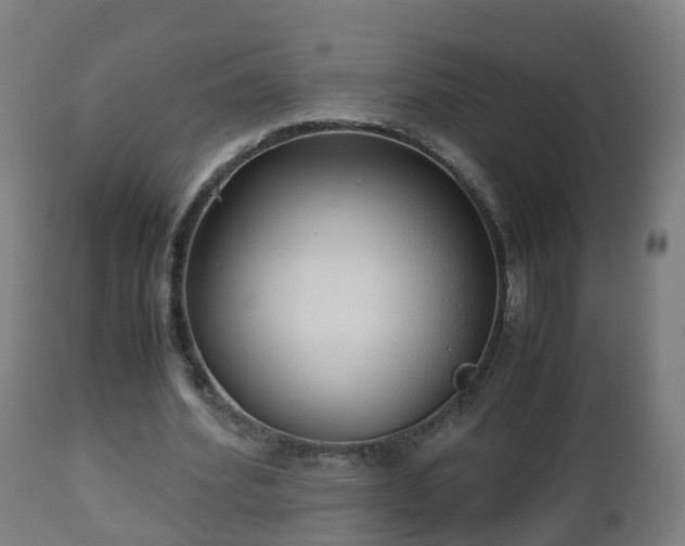 X0000112490580200908241328