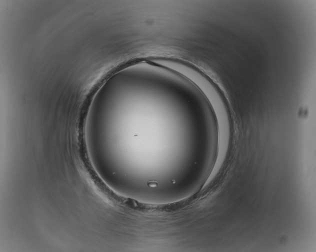 X0000112490581200908241328