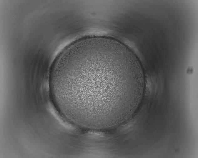 X0000112490582200908241328