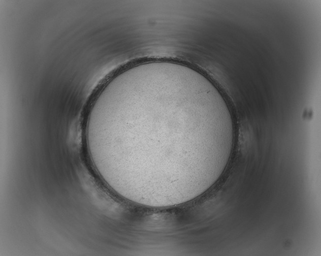 X0000112490584200908241328