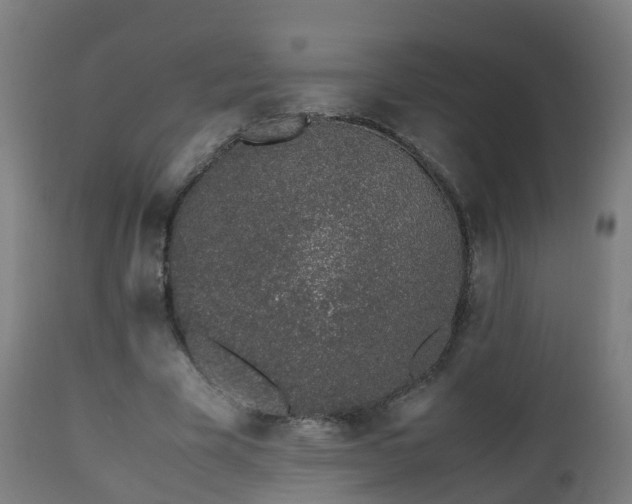 X0000112490585200908241328