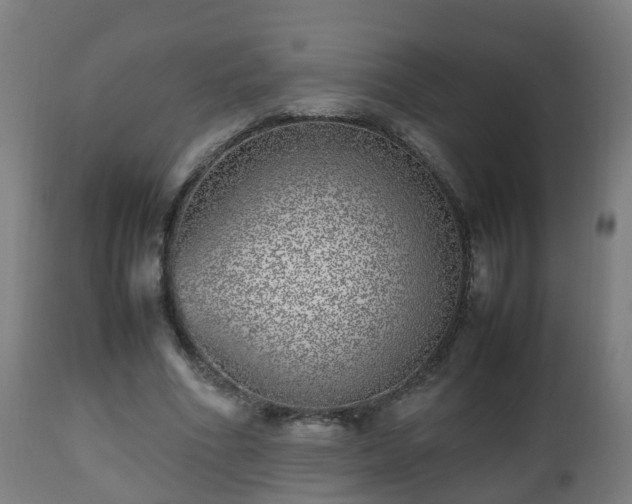 X0000112490586200908241328