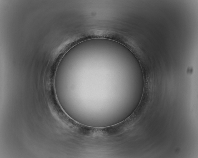 X0000112490587200908241328