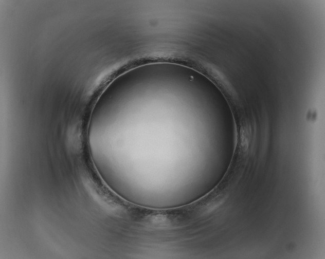 X0000112490588200908241328