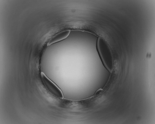 X0000112490589200908241328