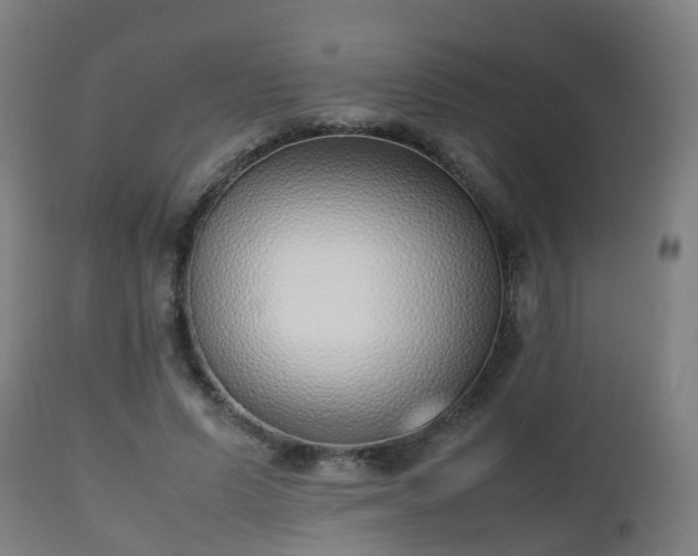 X0000112490591200908241327