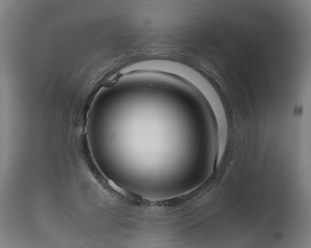 X0000112490593200908241327