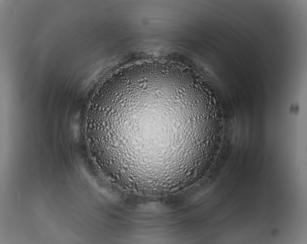 X0000112490594200908241327