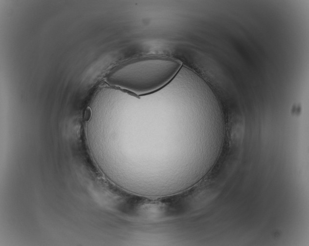 X0000112490595200908241327