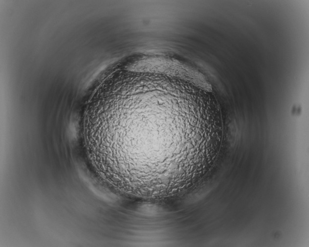 X0000112490596200908241327