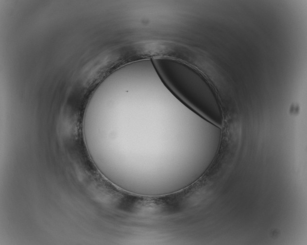 X0000112490597200908241327