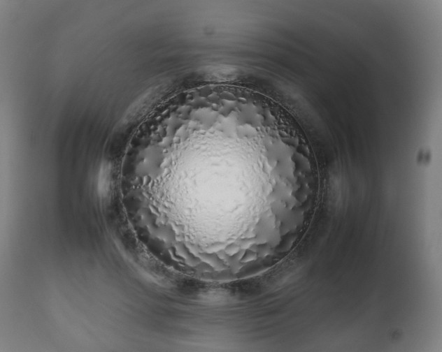 X0000112490598200908241327