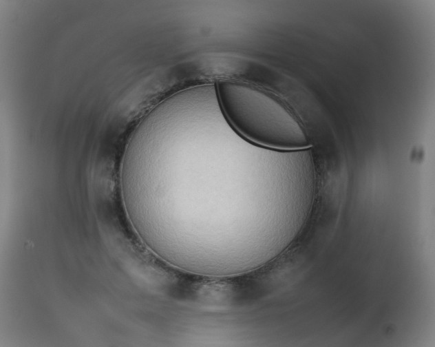 X0000112490599200908241327