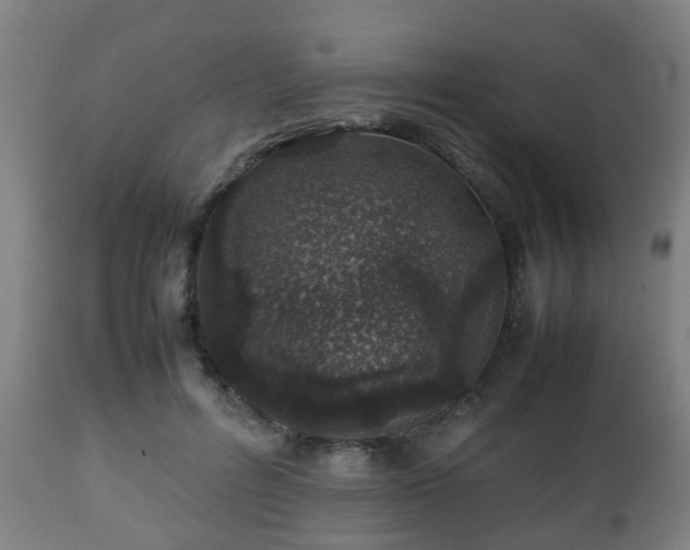 X0000112490600200908241327