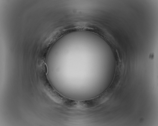 X0000112490601200908241327