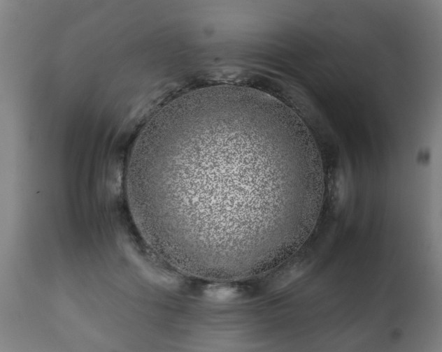 X0000112490602200908241327