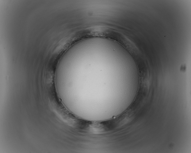 X0000112490603200908241327