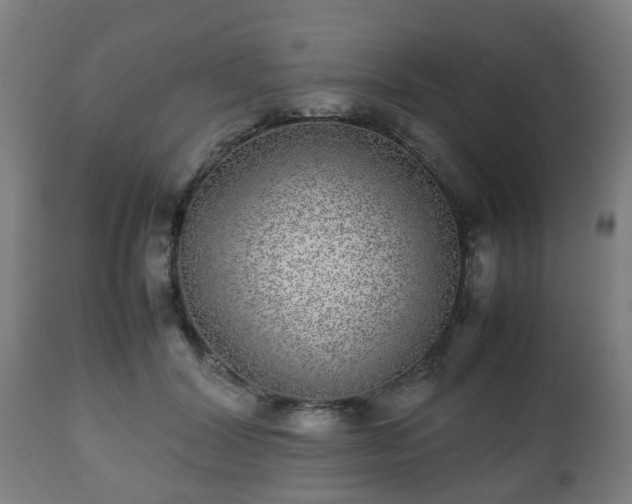 X0000112490604200908241327