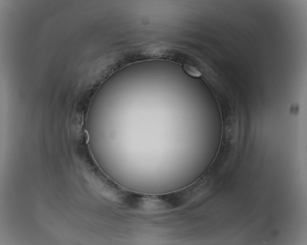 X0000112490605200908241327