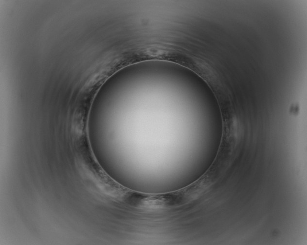 X0000112490606200908241327