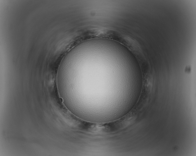 X0000112490607200908241327