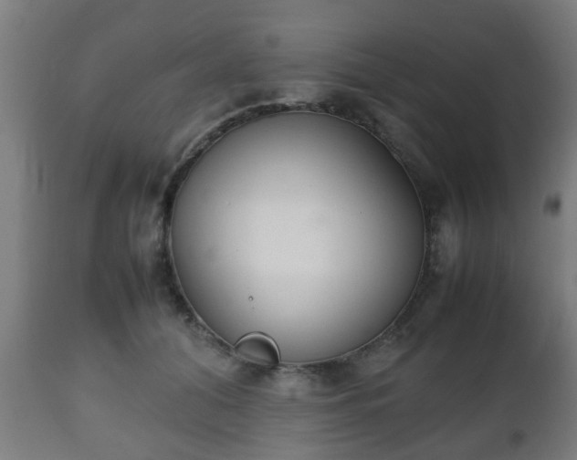 X0000112490608200908241327