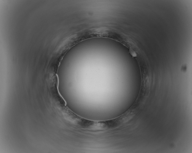 X0000112490609200908241327