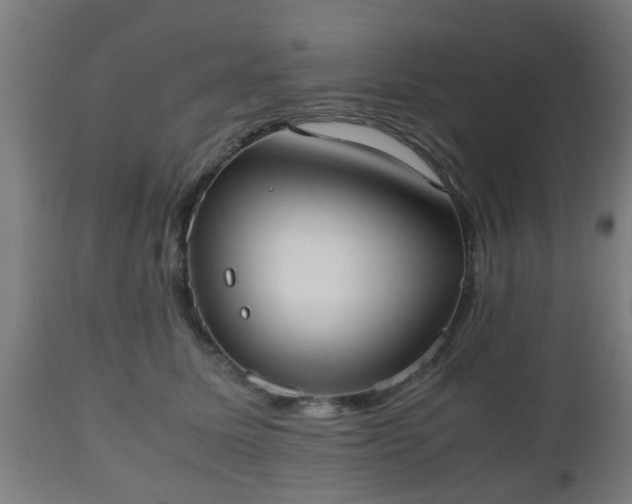 X0000112490611200908241327