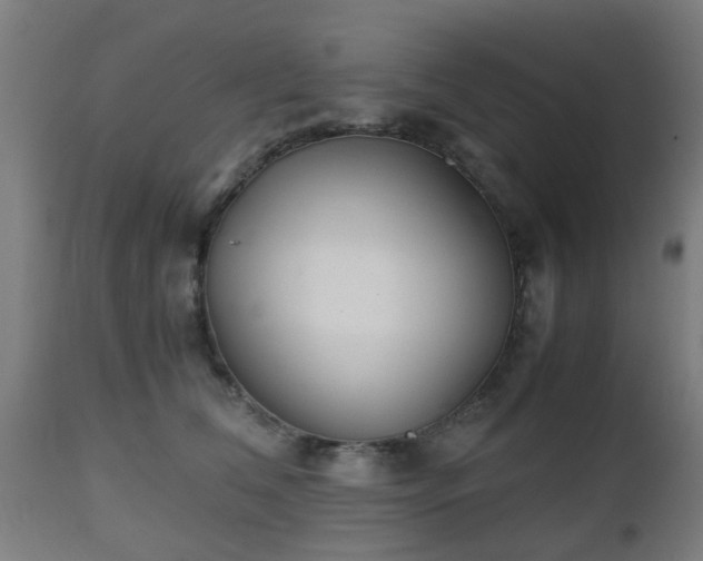 X0000112490612200908241327