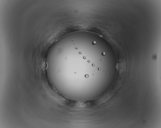 X0000112490613200908241327