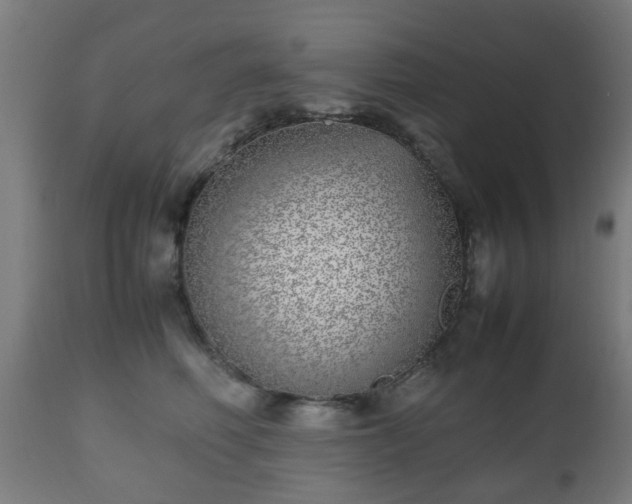 X0000112490614200908241327