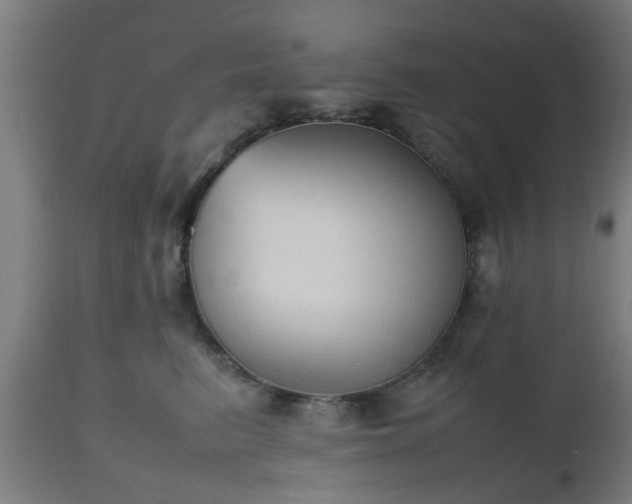 X0000112490615200908241327