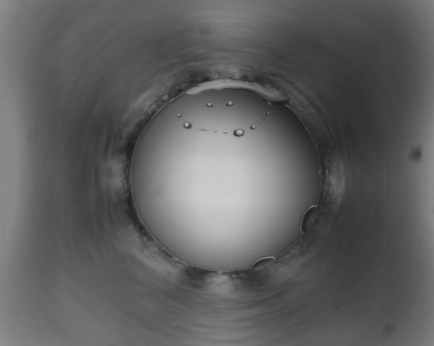 X0000112490616200908241327