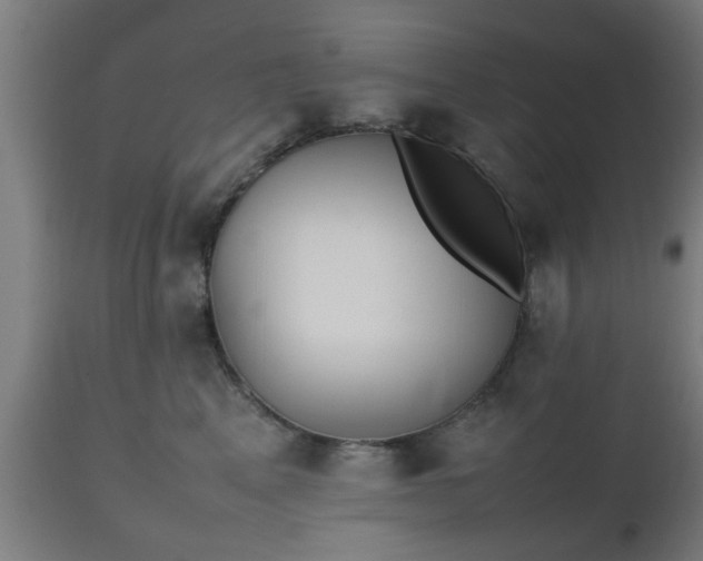 X0000112490617200908241327