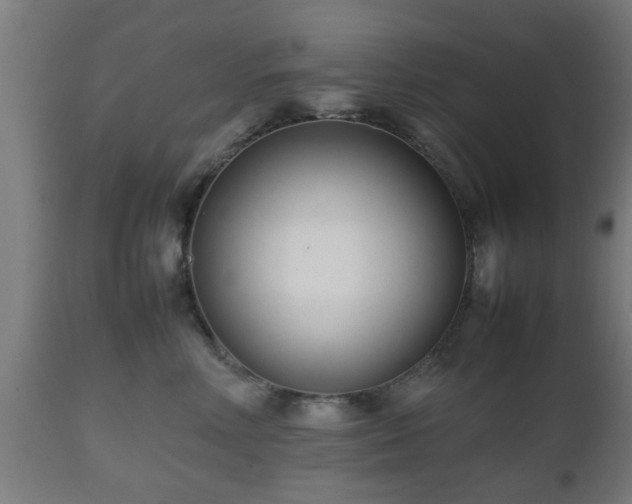 X0000112490618200908241327