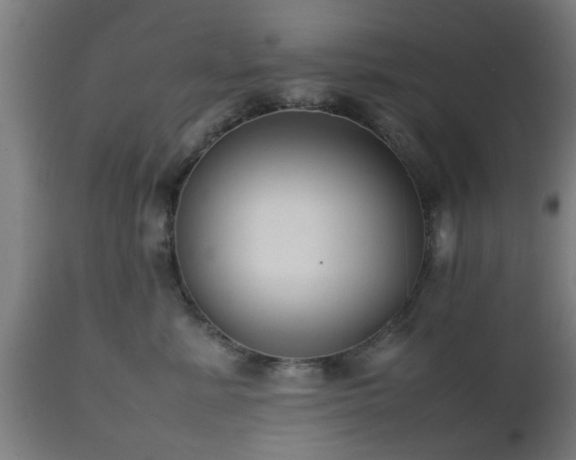 X0000112490619200908241327