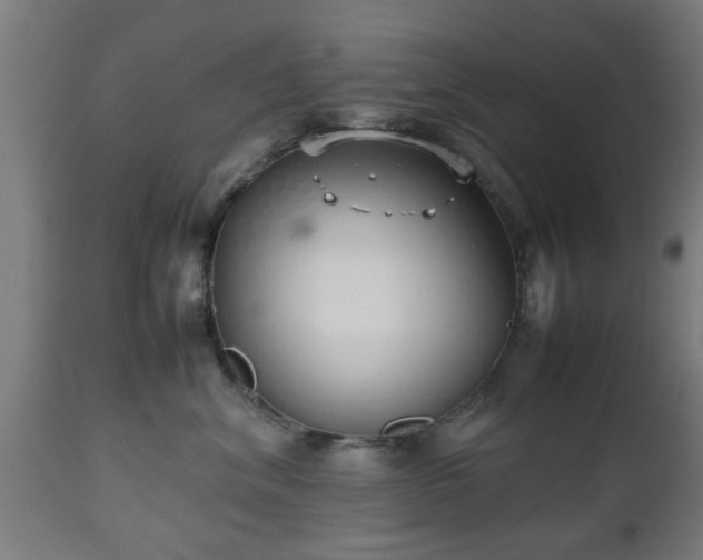 X0000112490620200908241327