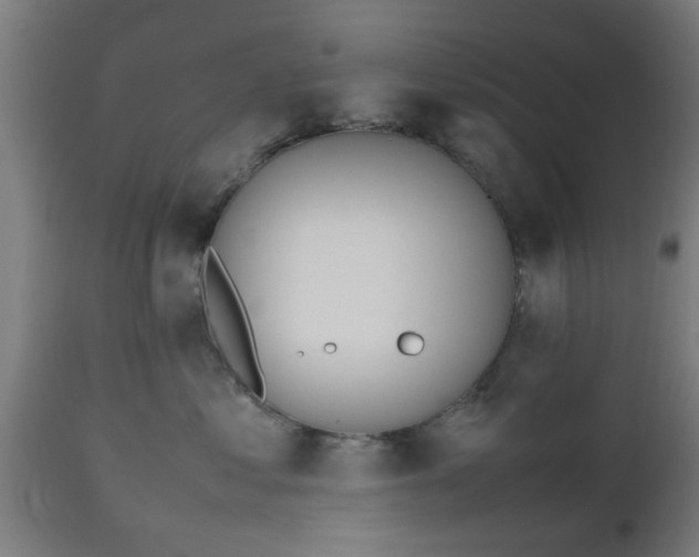 X0000112490621200908241327