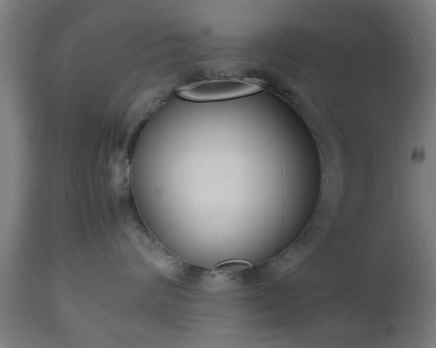 X0000112490624200908241327