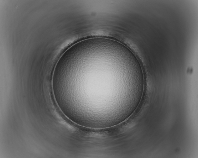 X0000112490625200908241326