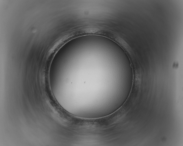 X0000112490626200908241326