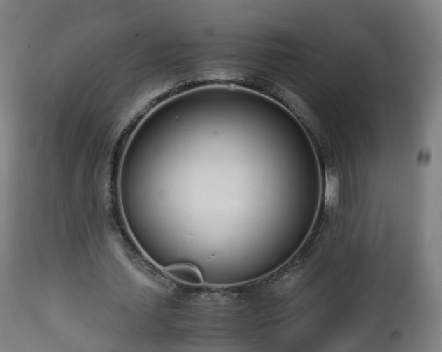 X0000112490627200908241326