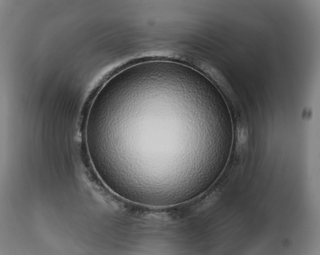 X0000112490628200908241326