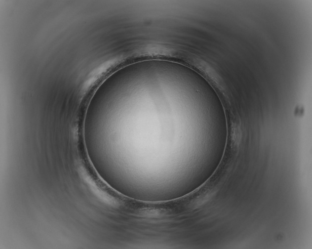 X0000112490629200908241326