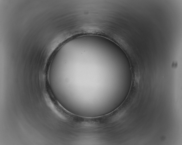 X0000112490630200908241326