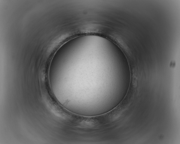 X0000112490631200908241326