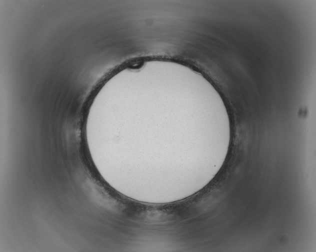 X0000112490632200908241326