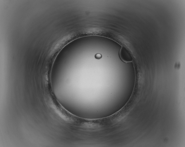 X0000112490633200908241326