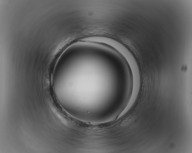 X0000112490634200908241326