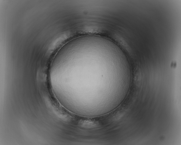 X0000112490635200908241326